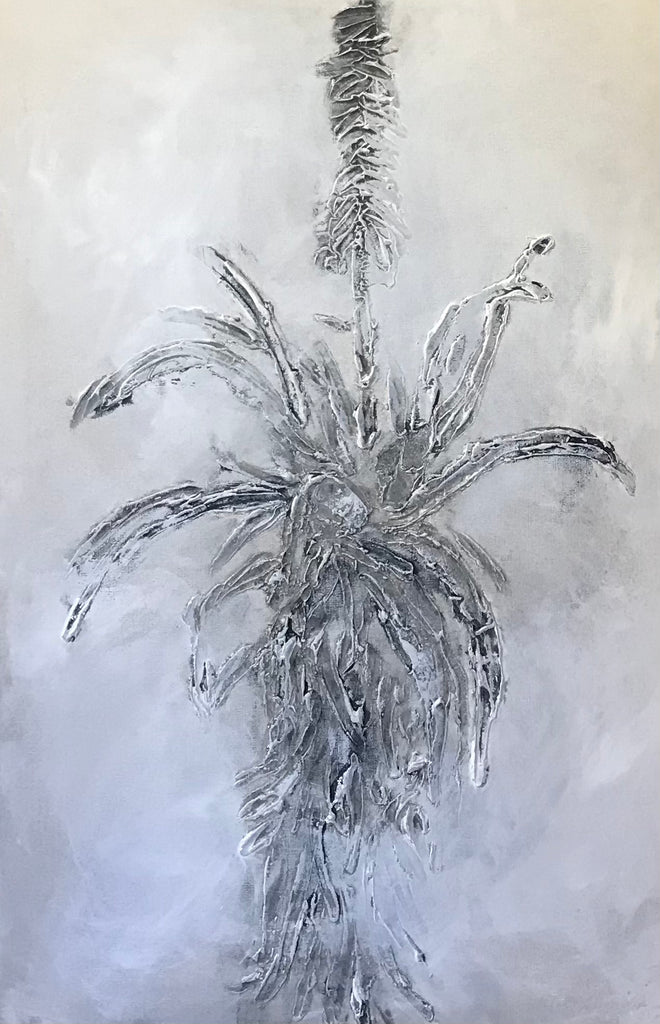 Cape Aloe