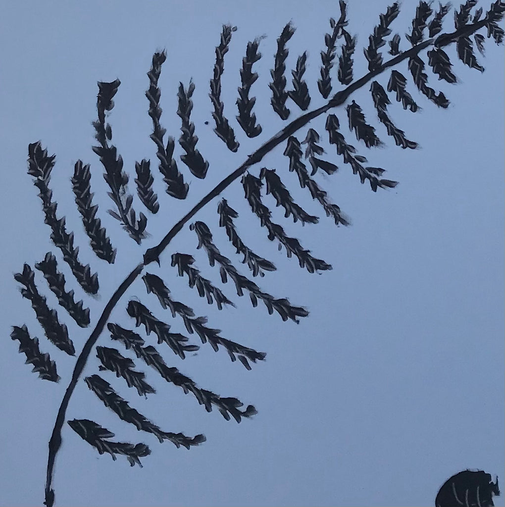 Ferns