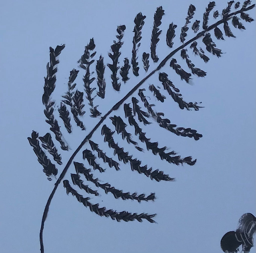 Ferns